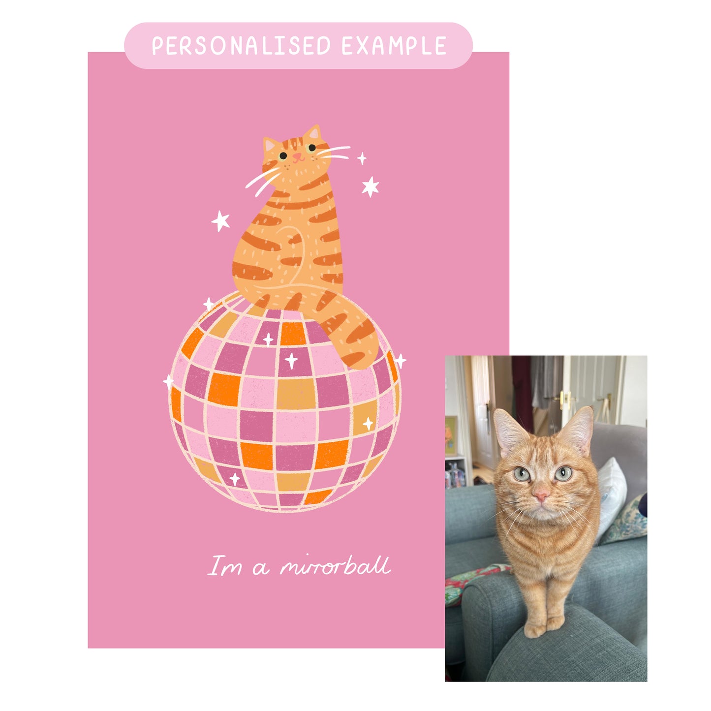 I'm A Mirrorball | Taylor Swift Cat Print - Personalised Option Available