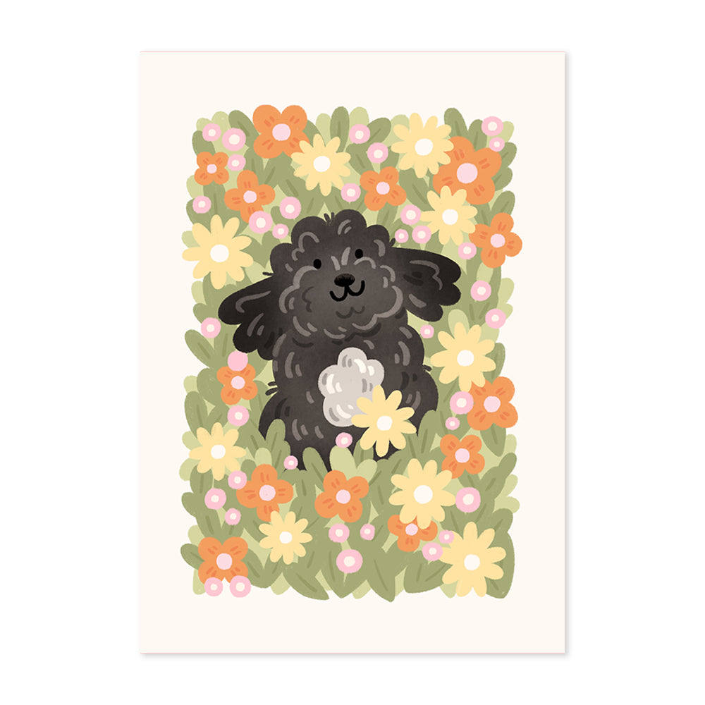 Black Cockapoo Meadow Print