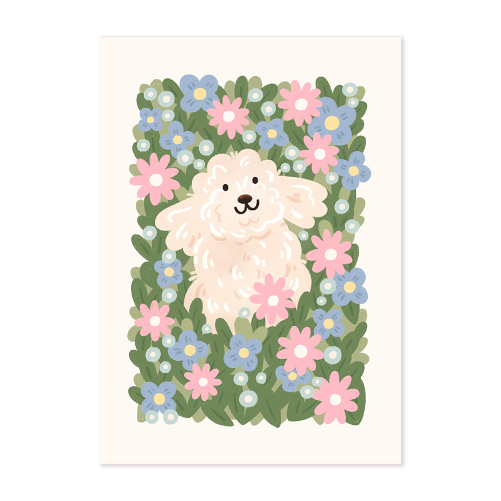 White Cockapoo Meadow Print