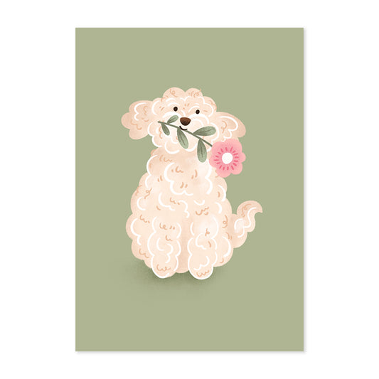 White Cockapoo Flowers Print