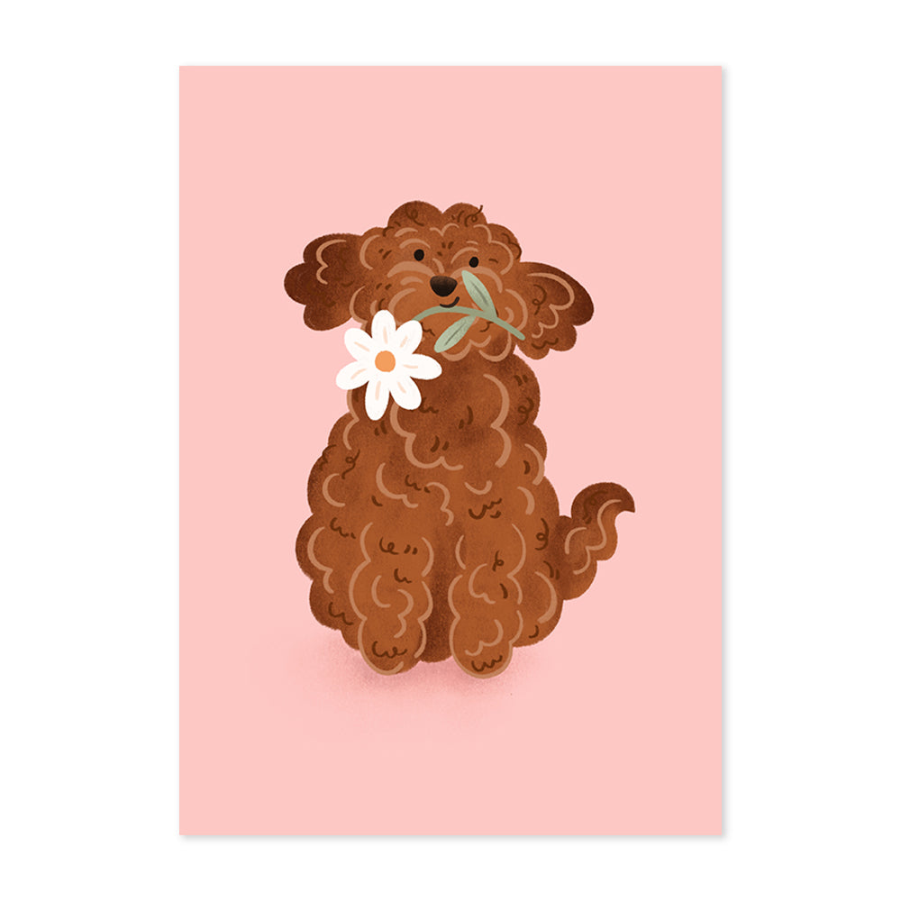 Brown Cockapoo Flowers Print