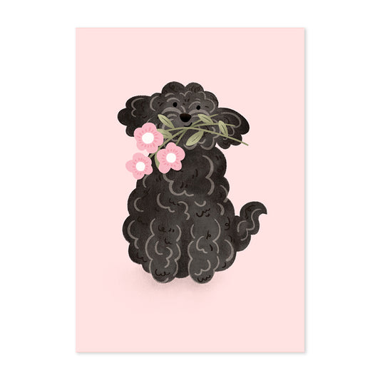 Black Cockapoo Flowers Print